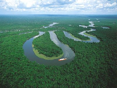 Amazon rainforest in the Iquitos area