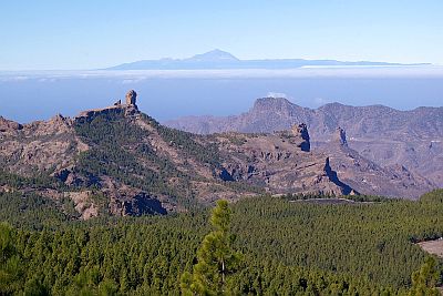 Landscape of Pico de las Nieves, Teide in the background