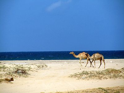 Beach in Somaliland