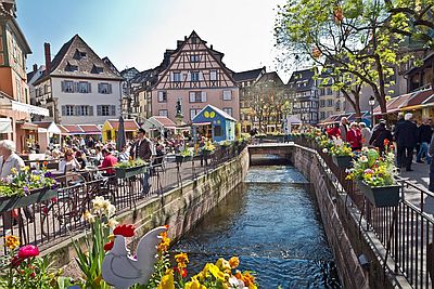 Colmar