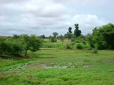 Guidimakha, summer landscape