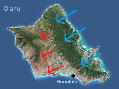Trade winds on the island of O'ahu