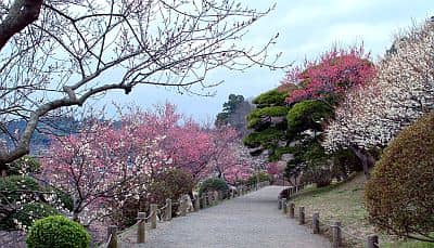 Kairakuen Garden