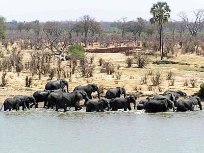 Kruger Park