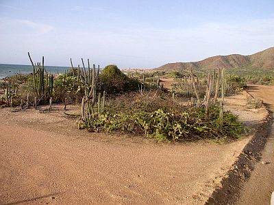 Macanao Peninsula