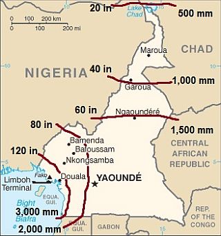 Precipitation in Cameroon, inches and millimeters