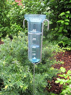 Rain gauge