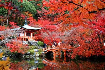 Temple in autumn in Kyoto