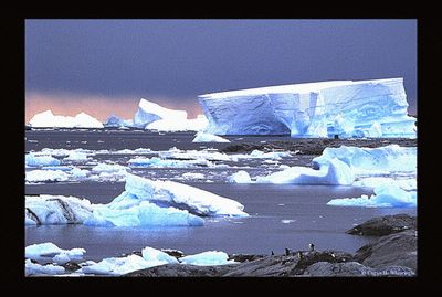 Glaciers in Antarctica