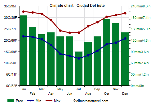 Climate chart - Ciudad Del Este