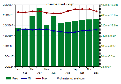 Climate chart - Puyo Climate chart - Puyo