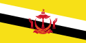 Flag - Brunei