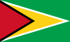 Flag - Guyana