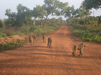 Northern Ghana