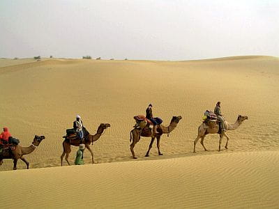 Thar Desert