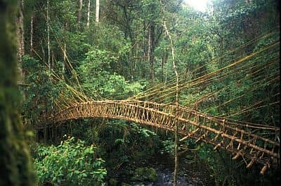 Papua New Guinea