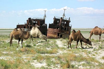 Lake Aral