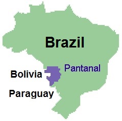 Pantanal, where it is