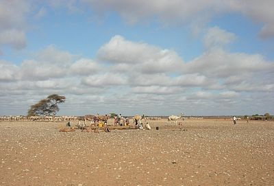 Ogaden