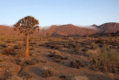 Richtersveld