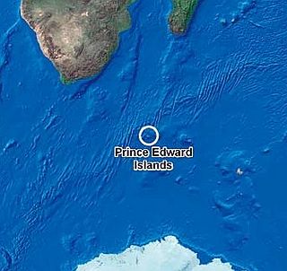 Marion Island, where it is located