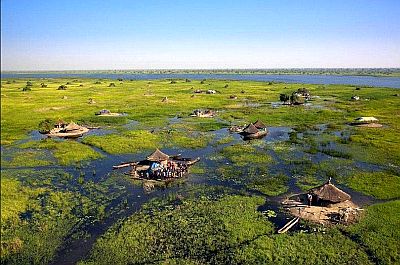 Sudd, a vast marshy area