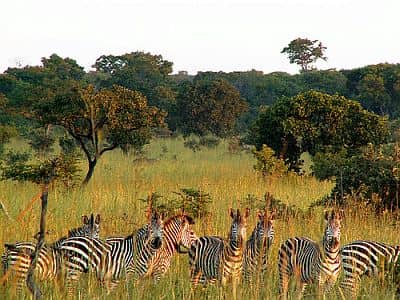 Kafue National Park